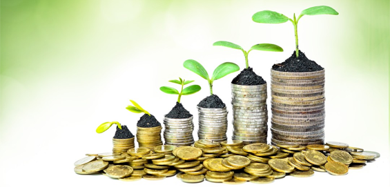Mass investments